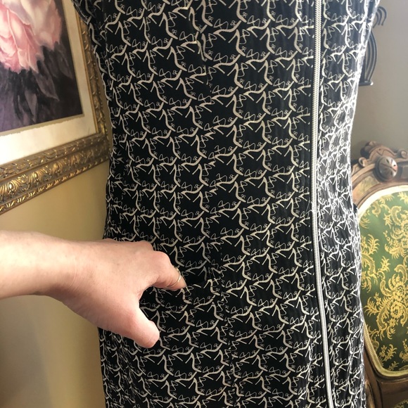 Simon Chang | 8 - Picture 4 of 6